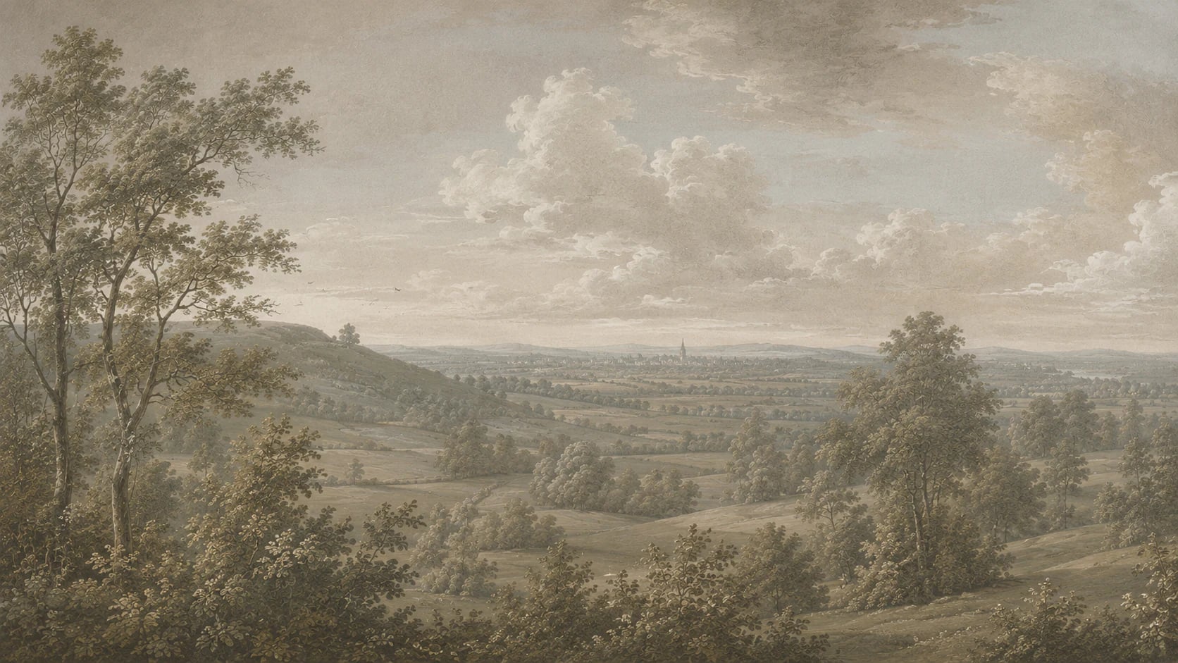 Vue de vallée sépia