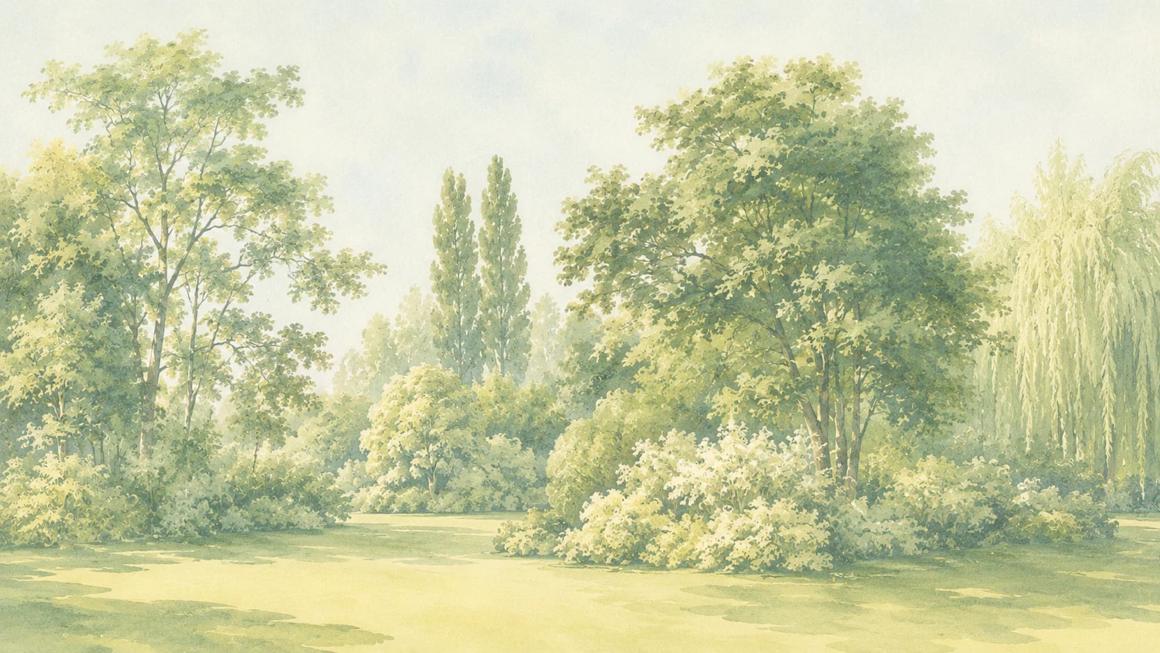 Sauceda pastoral