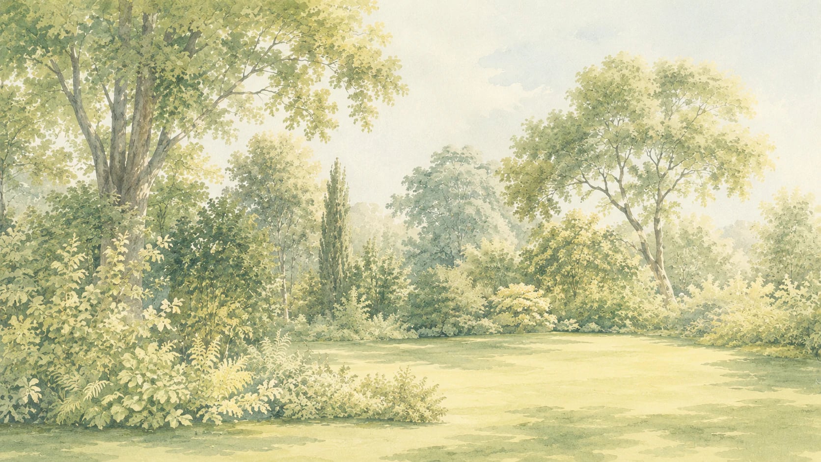 Prado pastoral en el parque