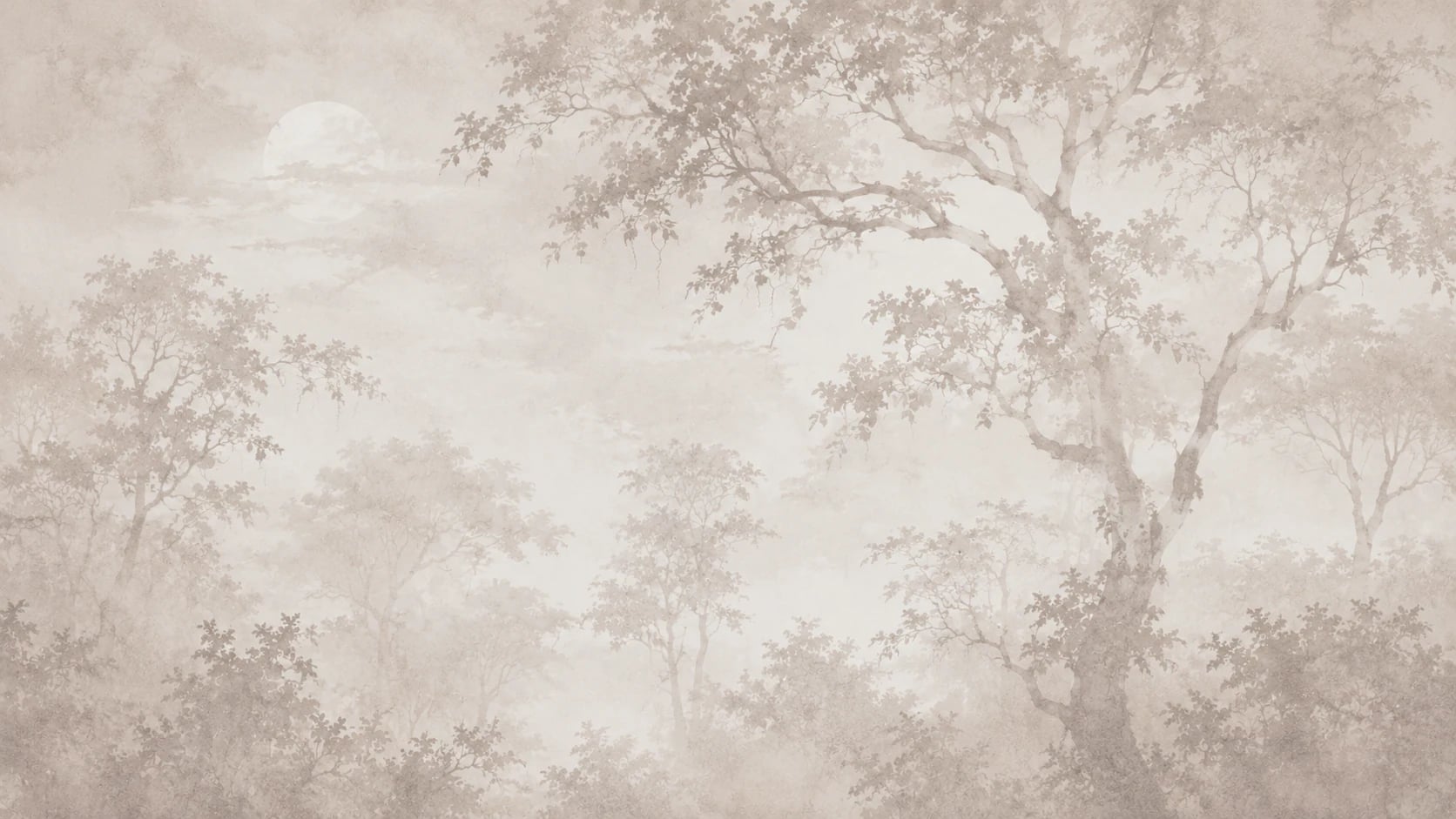 Misty Oak Grove