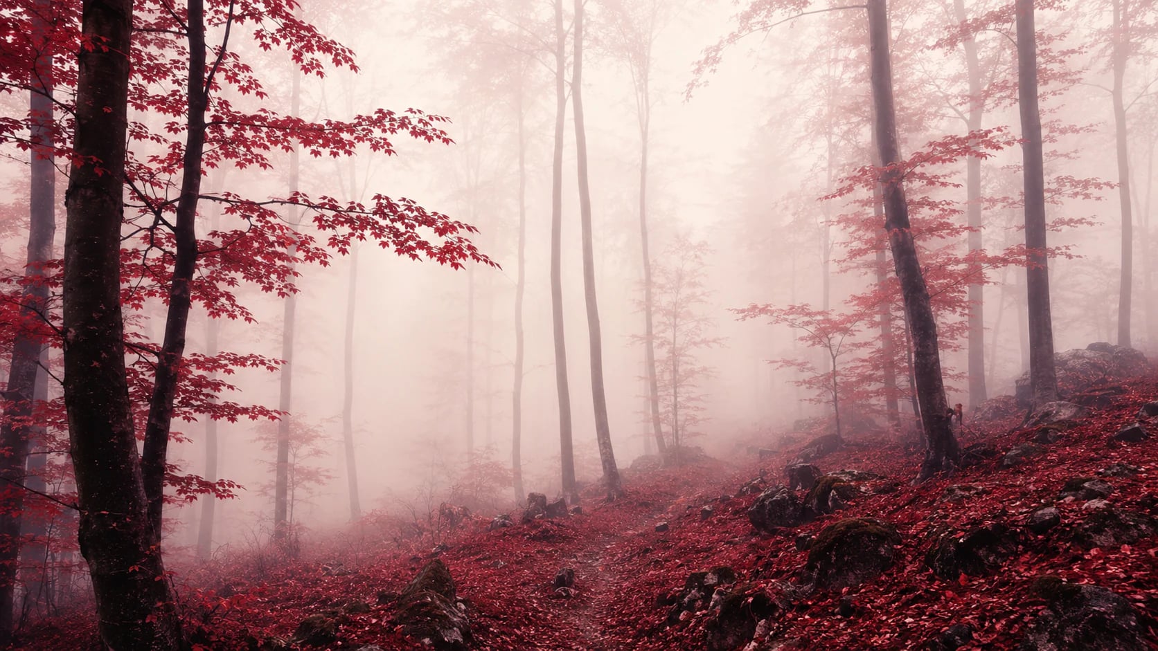 Bosque brumoso carmesí