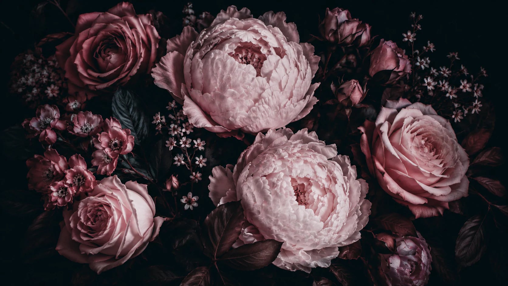 Pivoines au crépuscule