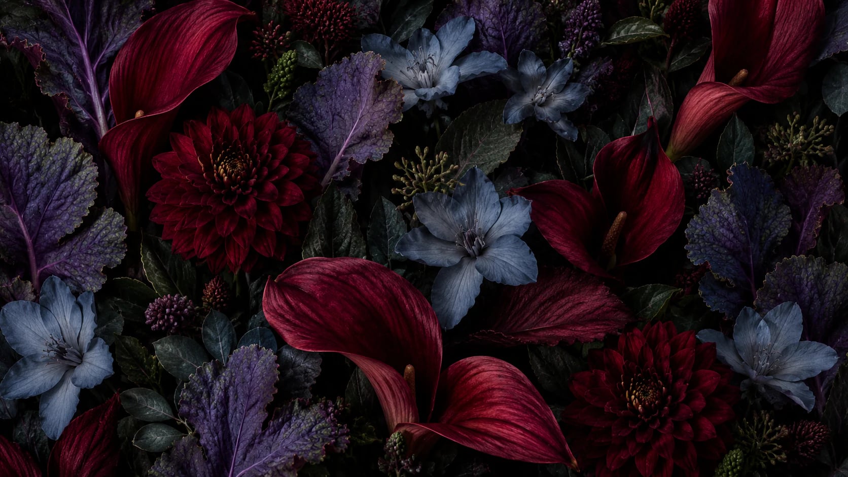 Nocturne Dahlia Bloom