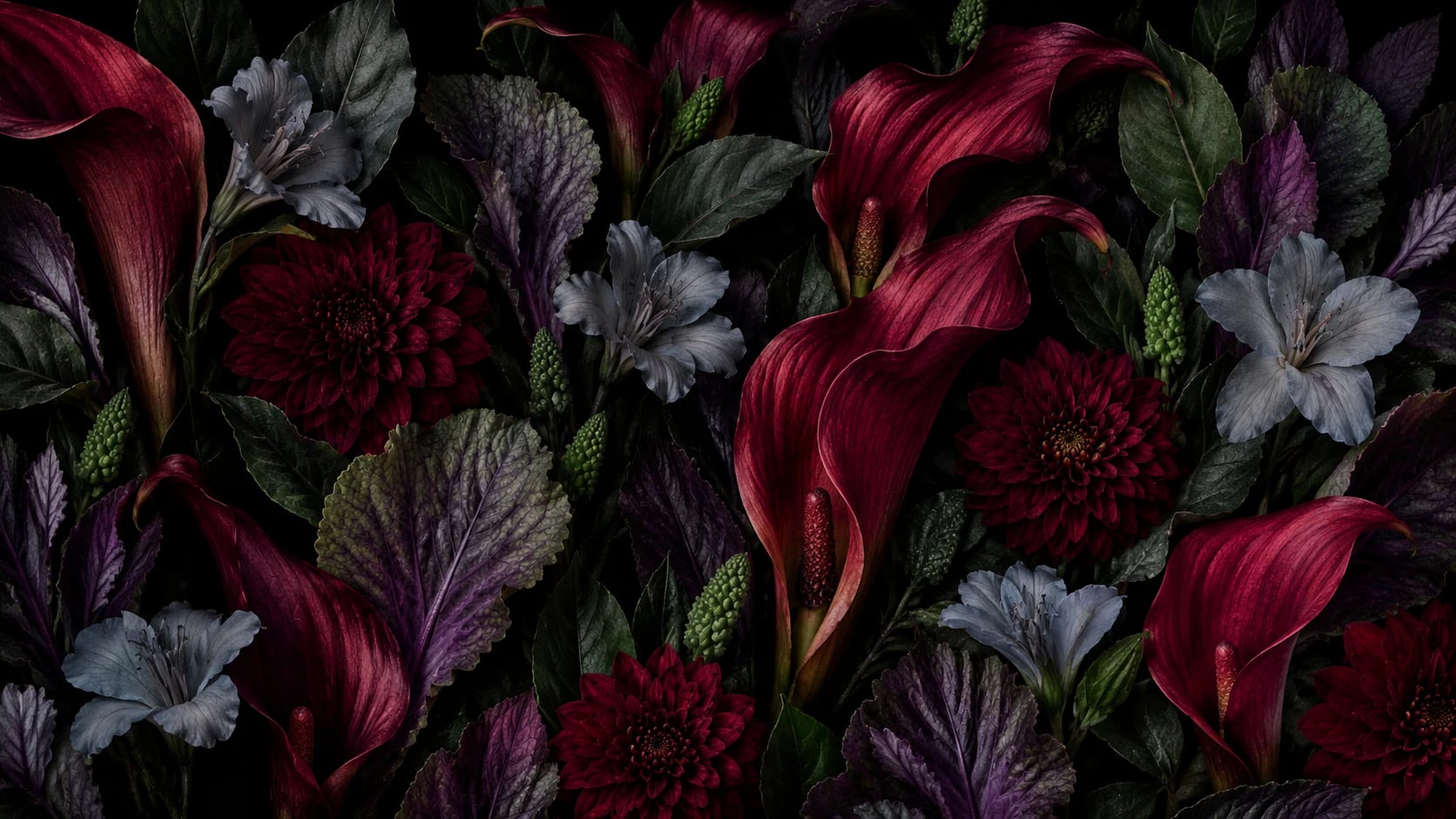 Crimson Calla Bloom